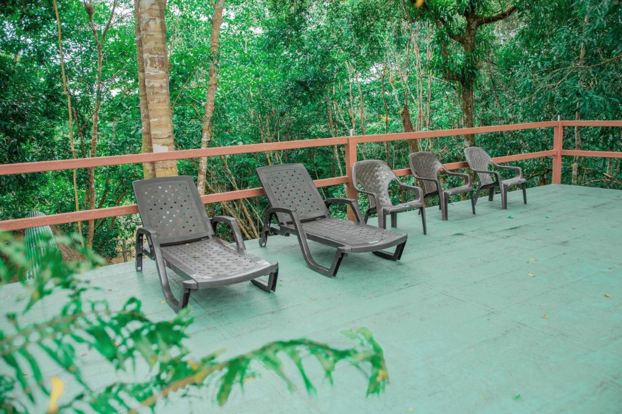 Caiman Eco Lodge Aguarico ภายนอก รูปภาพ
